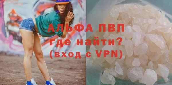 ECSTASY Ельня