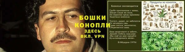 шишки Богданович
