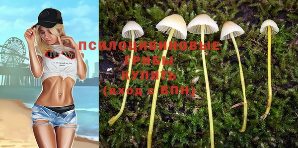 шишки Богданович