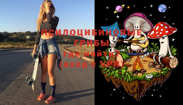 шишки Богданович